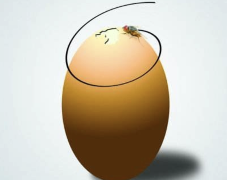 借钱给别人之前一定要做到三思！-京牌企服