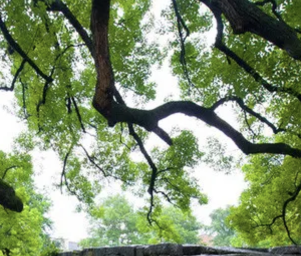 从事催收工作怎么样？-京牌企服