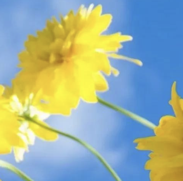 疫情下的催收为何还是继续疯狂？-京牌企服