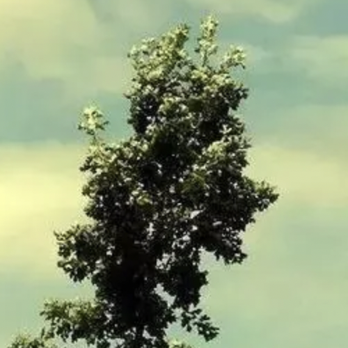 你在做生意失败，负债累累，处于人生最低谷的时候，是怎么熬过来的？-京牌企服