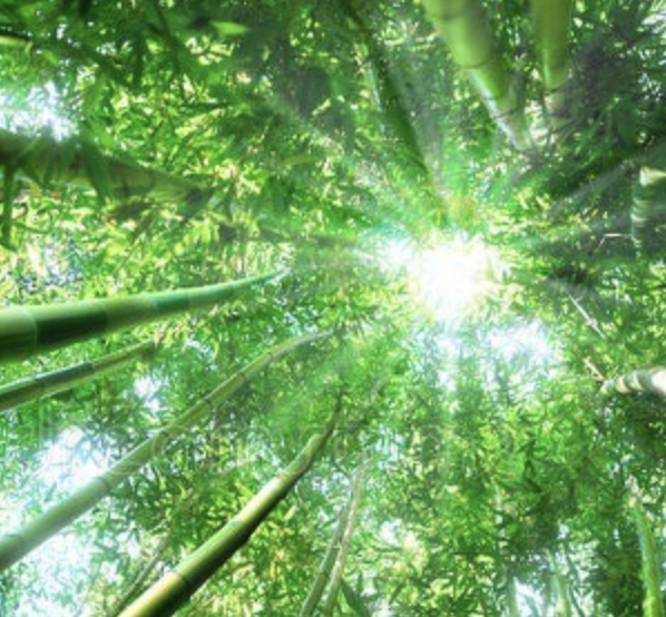 一个人负债累累的时候，家庭矛盾也越来越严重，该怎么办？求指教？-京牌企服